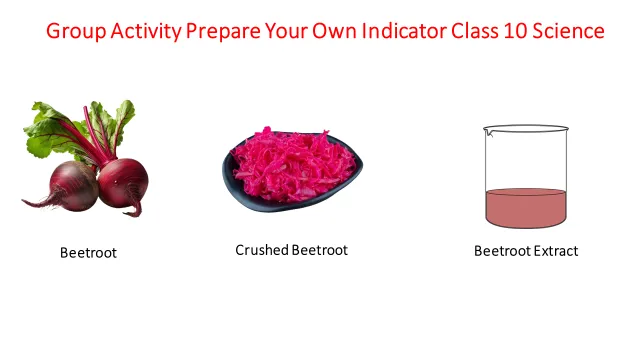 Group Activity Prepare Your Own Indicator Class 10 Science