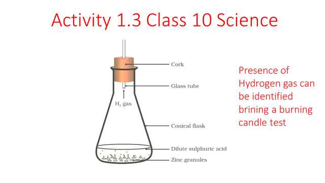 Activity 1.3 Class 10 Science