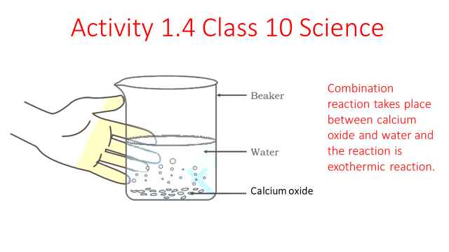 Activity 1.4 Class 10 Science