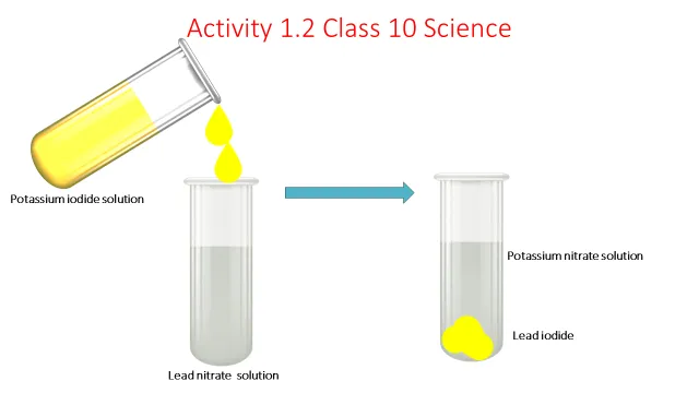 Activity 1.2 Class 10 Science