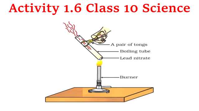 Activity 1.6 Class 10 Science diagram