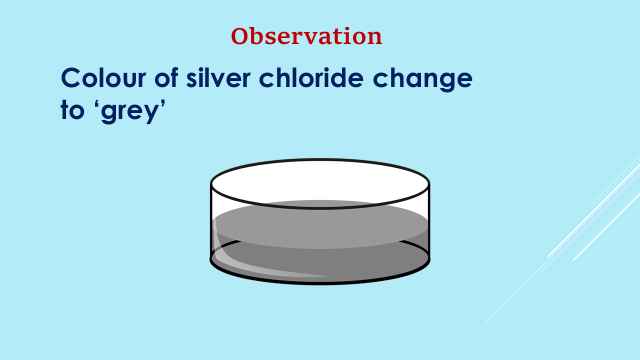 activity 1.8 class 10 science observationtion