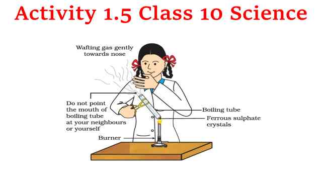 Activity 1.5 Class 10 Science diagram