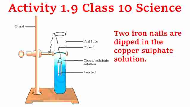 Activity 1.9 Class 10 Science