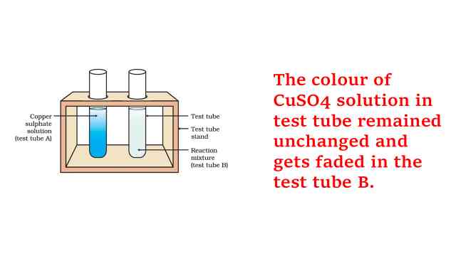 Activity 1.9 Class 10 Science observation