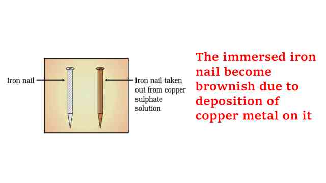 Activity 1.9 Class 10 Science explanation