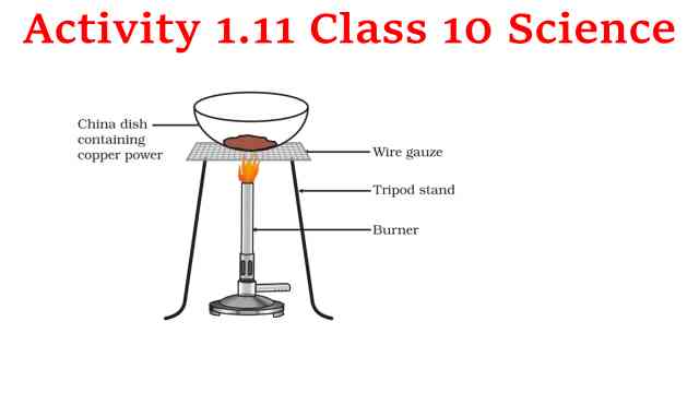 activity 1.11 class 10 science