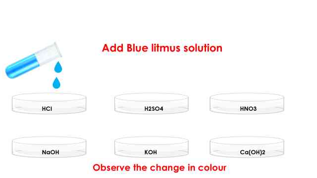 test with blue litmus in activity 2.1 class 10 science