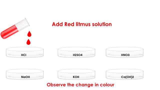 test with red litmus in activity 2.1 class 10 science