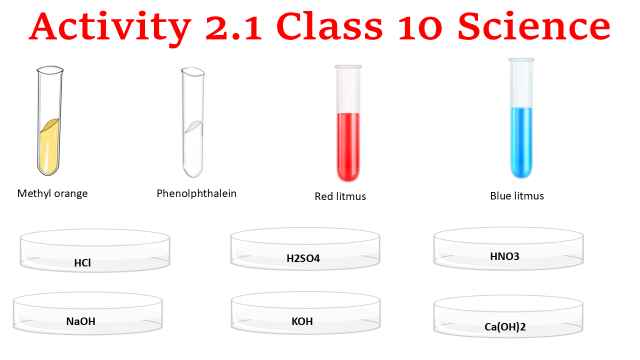 Activity 2.1 Class 10 Science