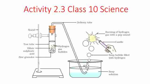 Activity 2.3 Class 10 Science