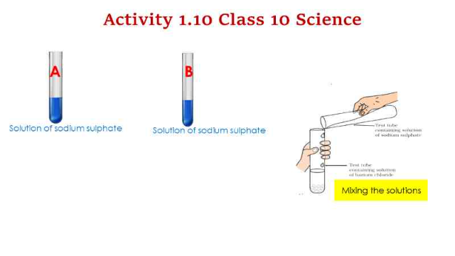 activity 1.10 class 10 science 