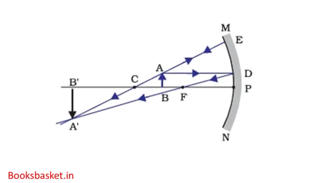 image formed by concave mirror when object is between C and F image formed by concave mirror when object is between C and F