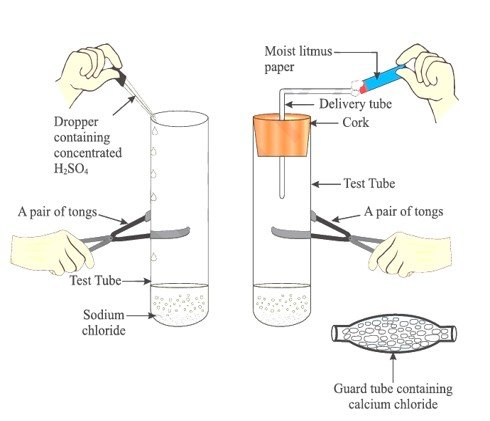 Do All Acids Produce Ions only in Aqueous Do All Acids Produce Ions only in Aqueous